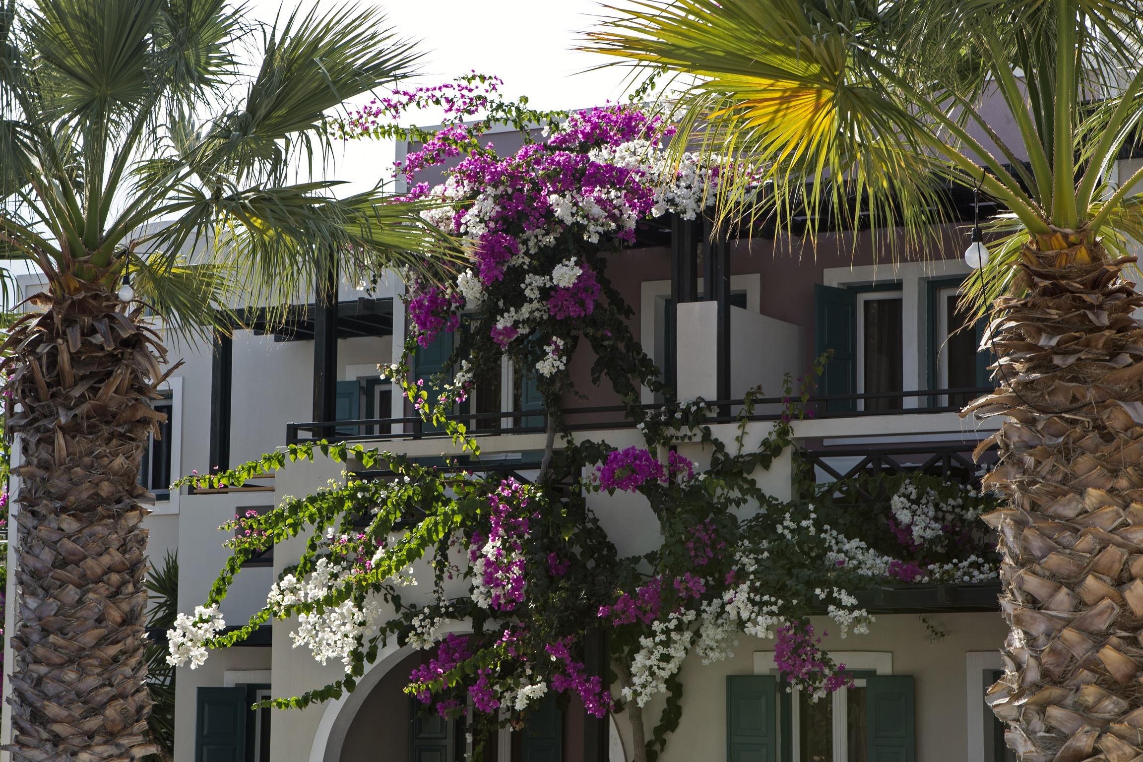 Rose Bay Hotel Камарі Екстер'єр фото